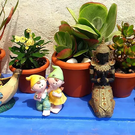 Bed and breakfast Casa Amelia Roquetas de Mar